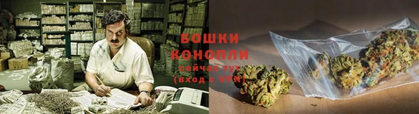дживик Белоозёрский
