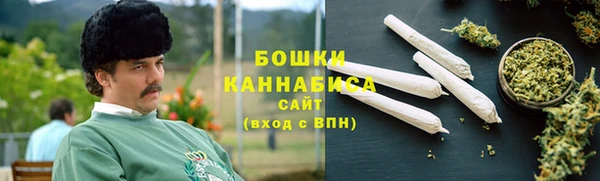 ГАЛЛЮЦИНОГЕННЫЕ ГРИБЫ Богданович