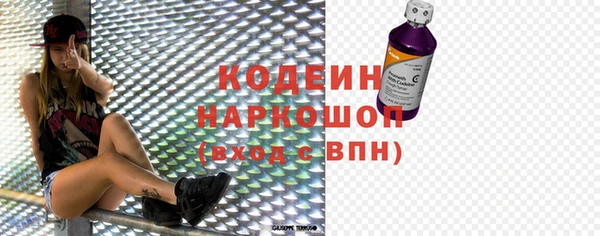 ГАЛЛЮЦИНОГЕННЫЕ ГРИБЫ Богданович