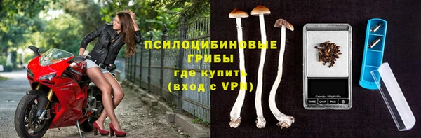 ГАЛЛЮЦИНОГЕННЫЕ ГРИБЫ Богданович