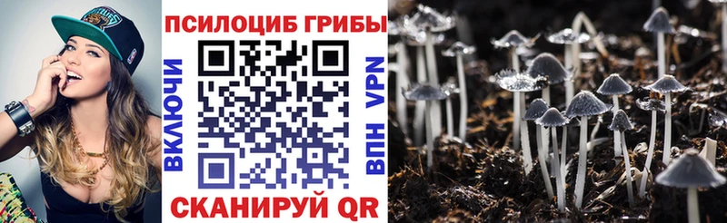 Псилоцибиновые грибы Cubensis Купить закладки Жуков